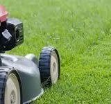 images (1)